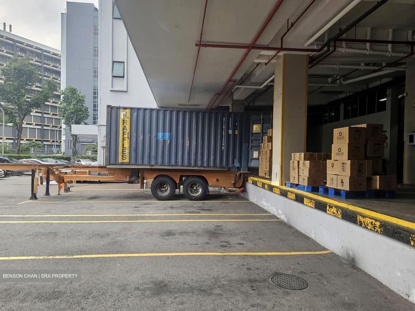 Perfect One (D13), Warehouse #567503911